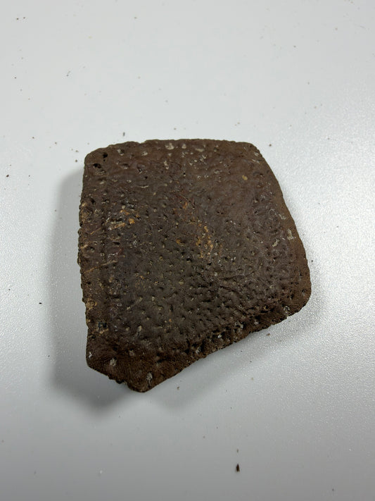 Fossil giant armadillo scute - EDI-80