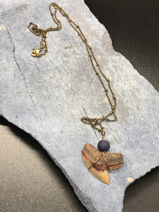 Tiger Shark Necklace, Shark Tooth Necklace, Fossil Shark Tooth Necklace
