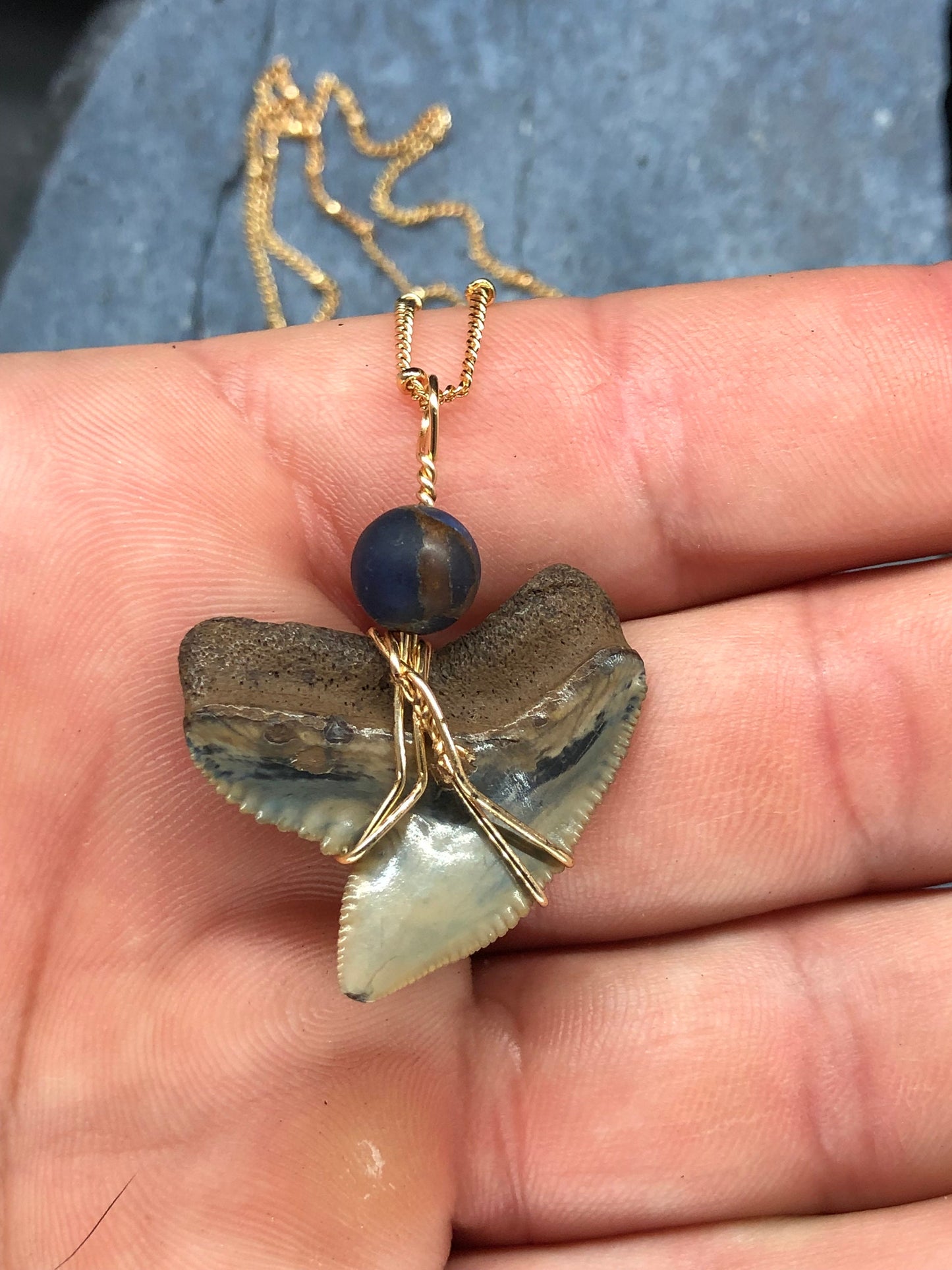 Tiger Shark Necklace, Shark Tooth Necklace, Fossil Shark Tooth Necklace