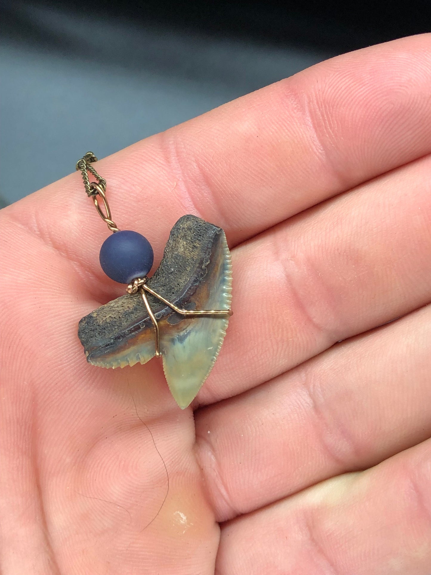 Tiger Shark Necklace, Shark Tooth Necklace, Fossil Shark Tooth Necklace