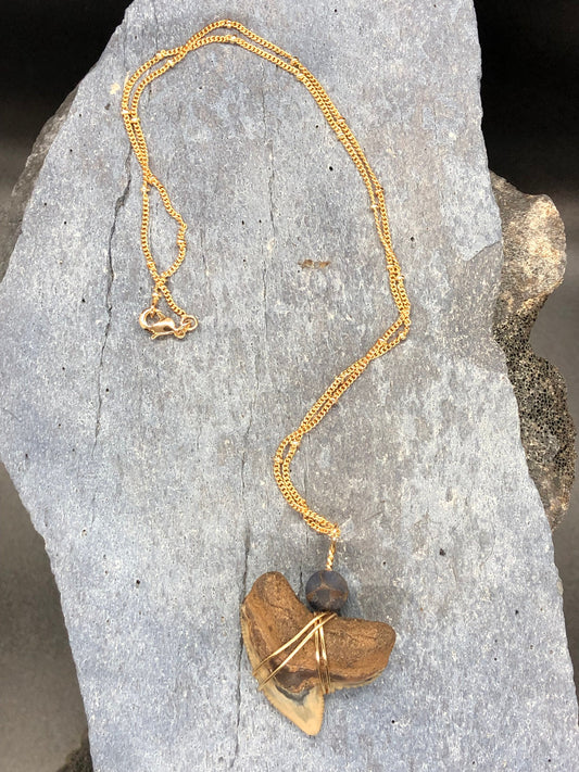 Tiger Shark Necklace, Shark Tooth Necklace, Fossil Shark Tooth Necklace