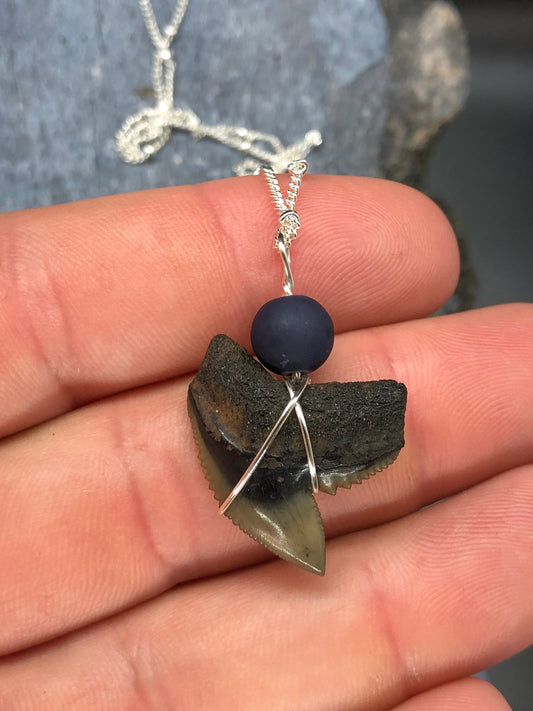 Fossil tiger shark tooth necklace - view 2