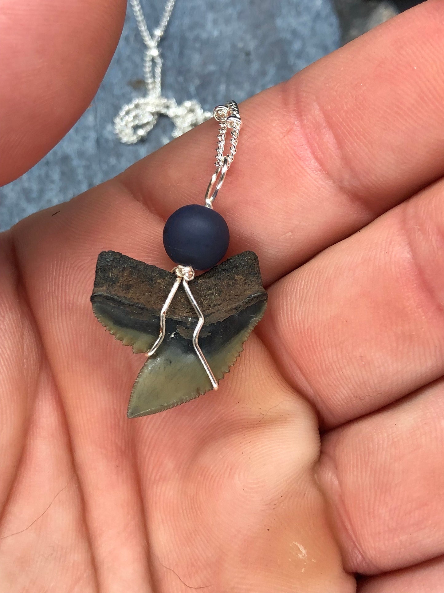 Tiger Shark Necklace, Shark Tooth Necklace, Fossil Shark Tooth Necklace