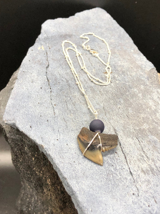 Tiger Shark Necklace, Shark Tooth Necklace, Fossil Shark Tooth Necklace