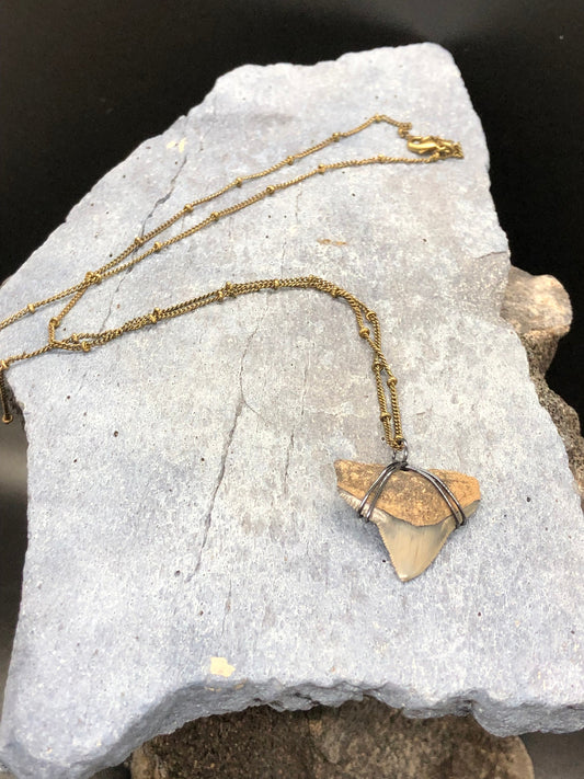 Bull Shark Necklace, Shark Tooth Necklace, Fossil Shark Tooth Necklace