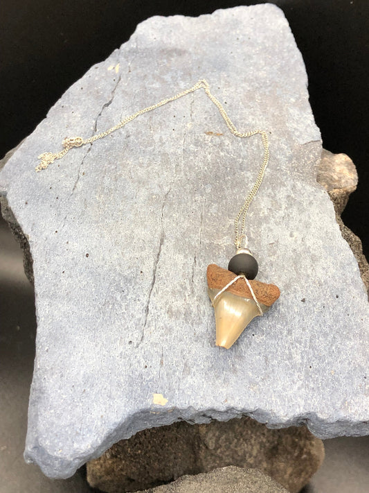 Mako shark tooth necklace, Fossil shark tooth Necklace, Shark tooth Necklace
