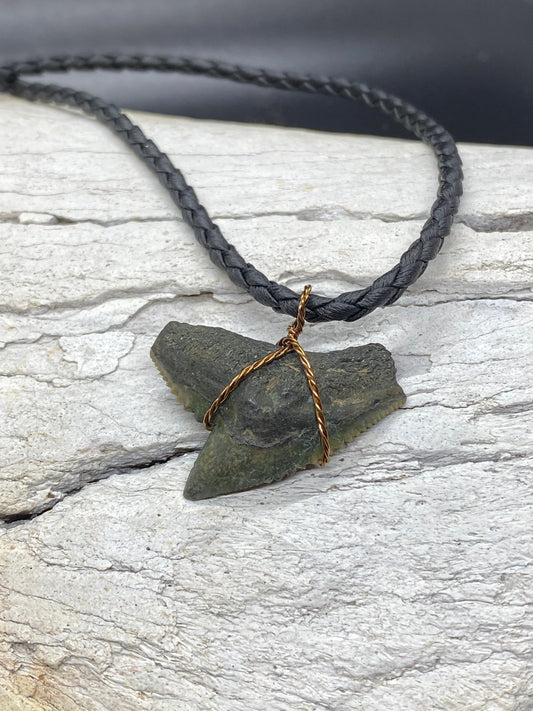 Tiger Shark Necklace, Shark Tooth Necklace, Fossil Shark Tooth Necklace