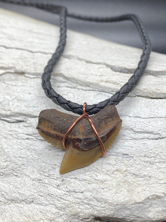 Tiger Shark Necklace, Shark Tooth Necklace, Fossil Shark Tooth Necklace