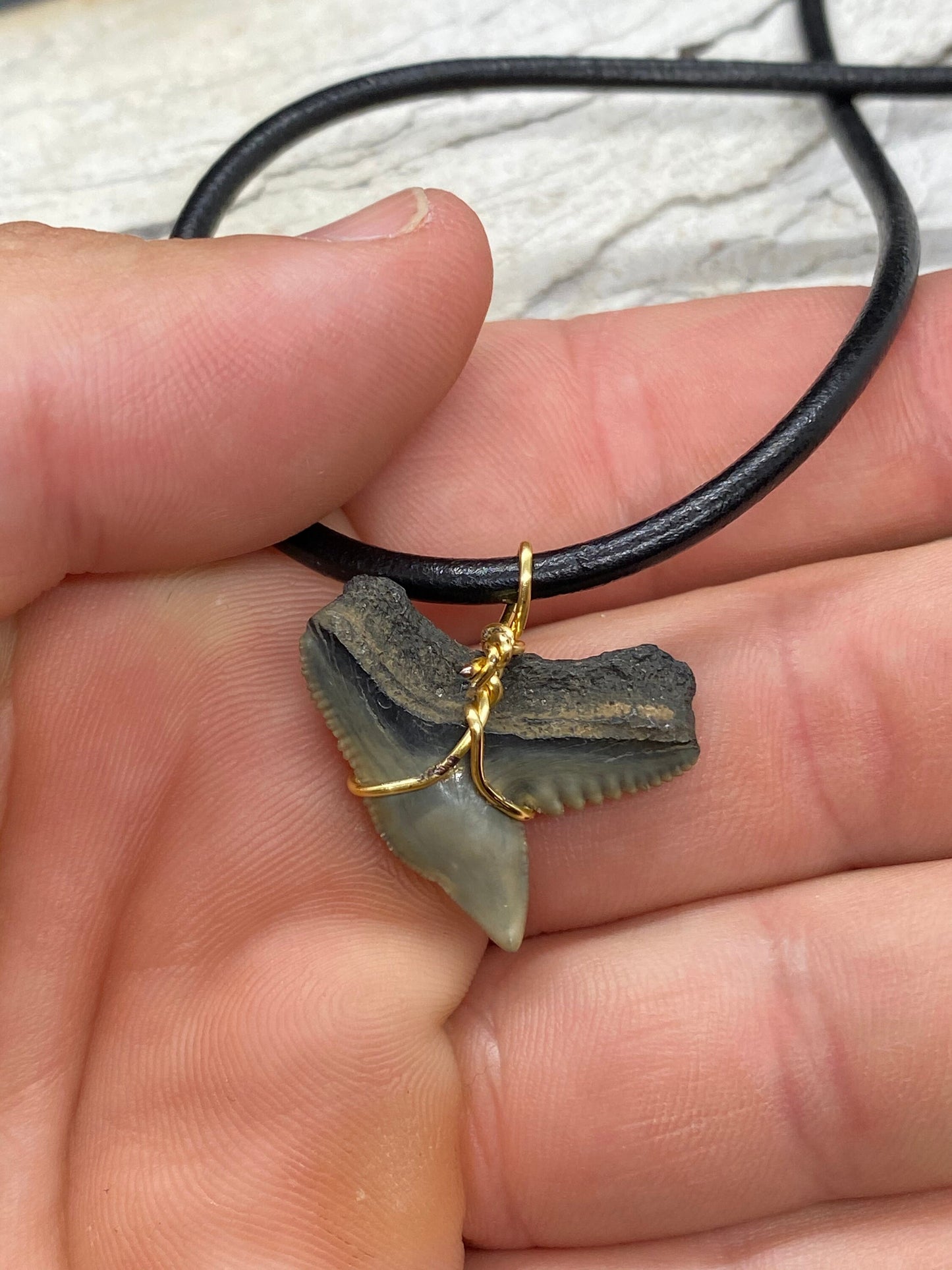 Tiger Shark Necklace, Shark Tooth Necklace, Fossil Shark Tooth Necklace
