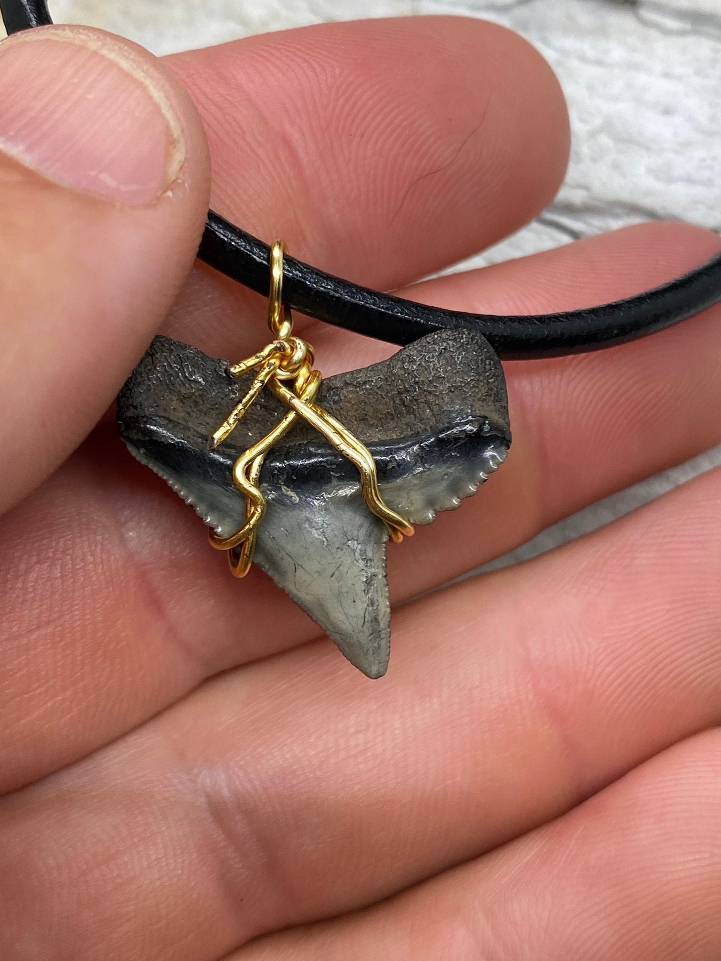 Tiger Shark Necklace, Shark Tooth Necklace, Fossil Shark Tooth Necklace