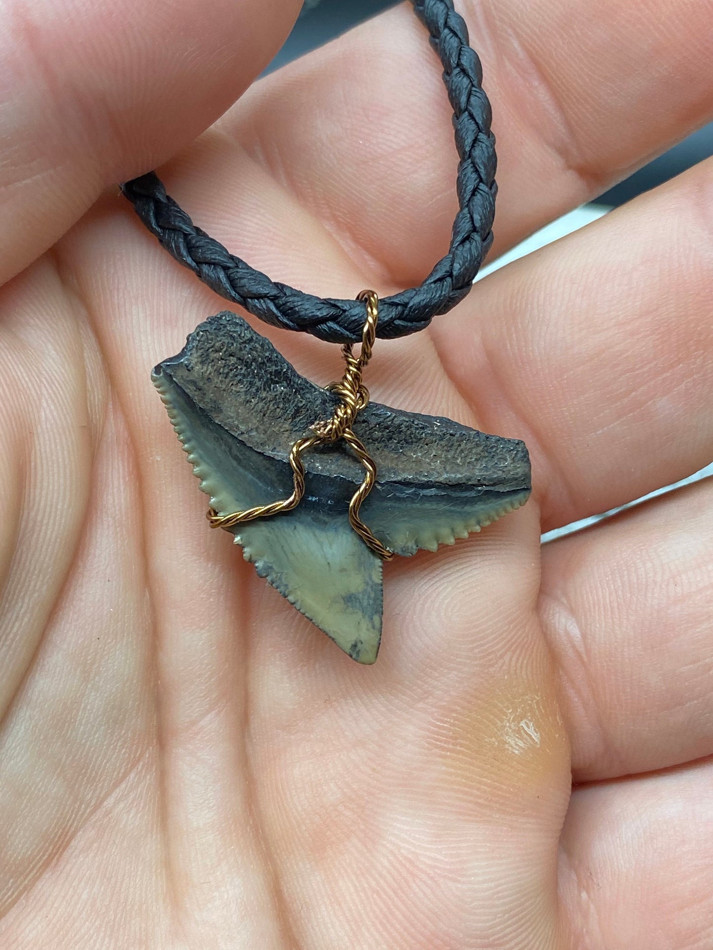 Tiger Shark Necklace, Shark Tooth Necklace, Fossil Shark Tooth Necklace