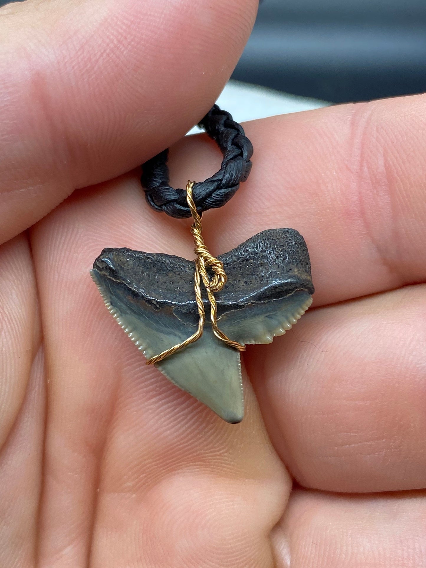 Tiger Shark Necklace, Shark Tooth Necklace, Fossil Shark Tooth Necklace