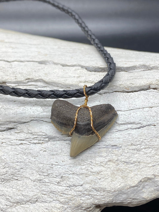 Tiger Shark Necklace, Shark Tooth Necklace, Fossil Shark Tooth Necklace