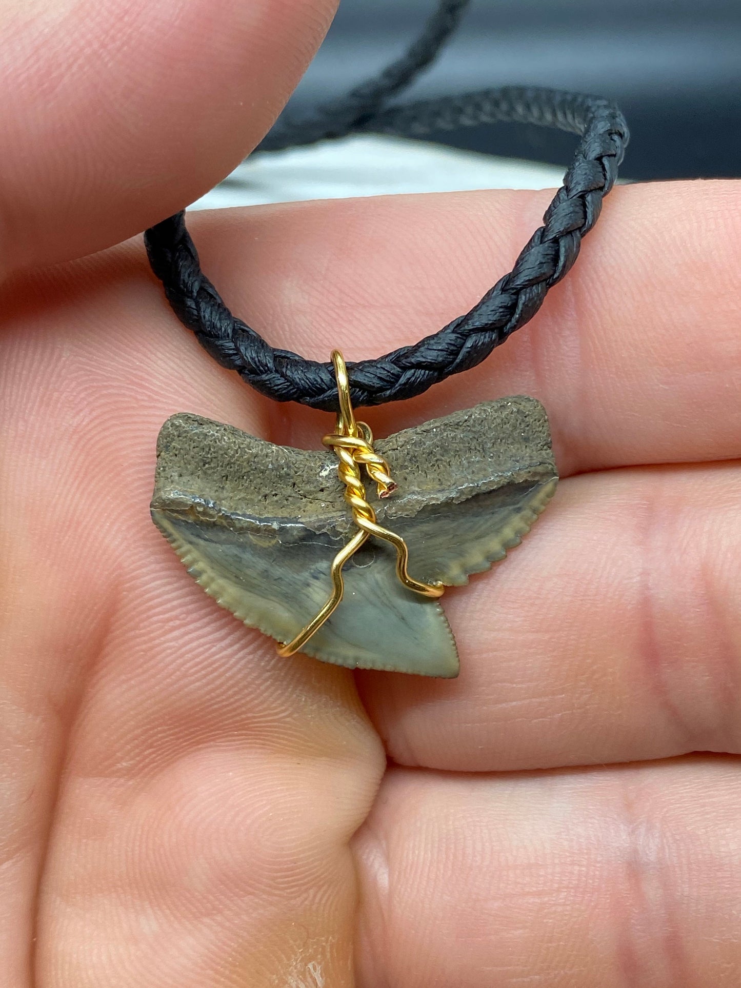 Tiger Shark Necklace, Shark Tooth Necklace, Fossil Shark Tooth Necklace