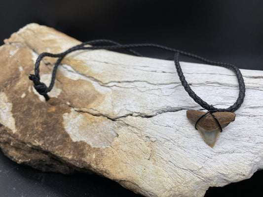Bull Shark Necklace, Shark Tooth Necklace, Fossil Shark Tooth Necklace