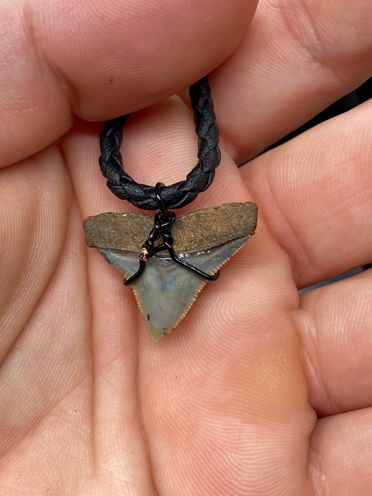 Bull Shark Necklace, Shark Tooth Necklace, Fossil Shark Tooth Necklace