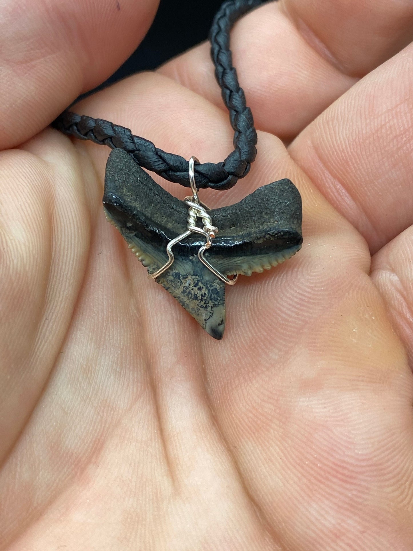 Tiger Shark Necklace, Shark Tooth Necklace, Fossil Shark Tooth Necklace