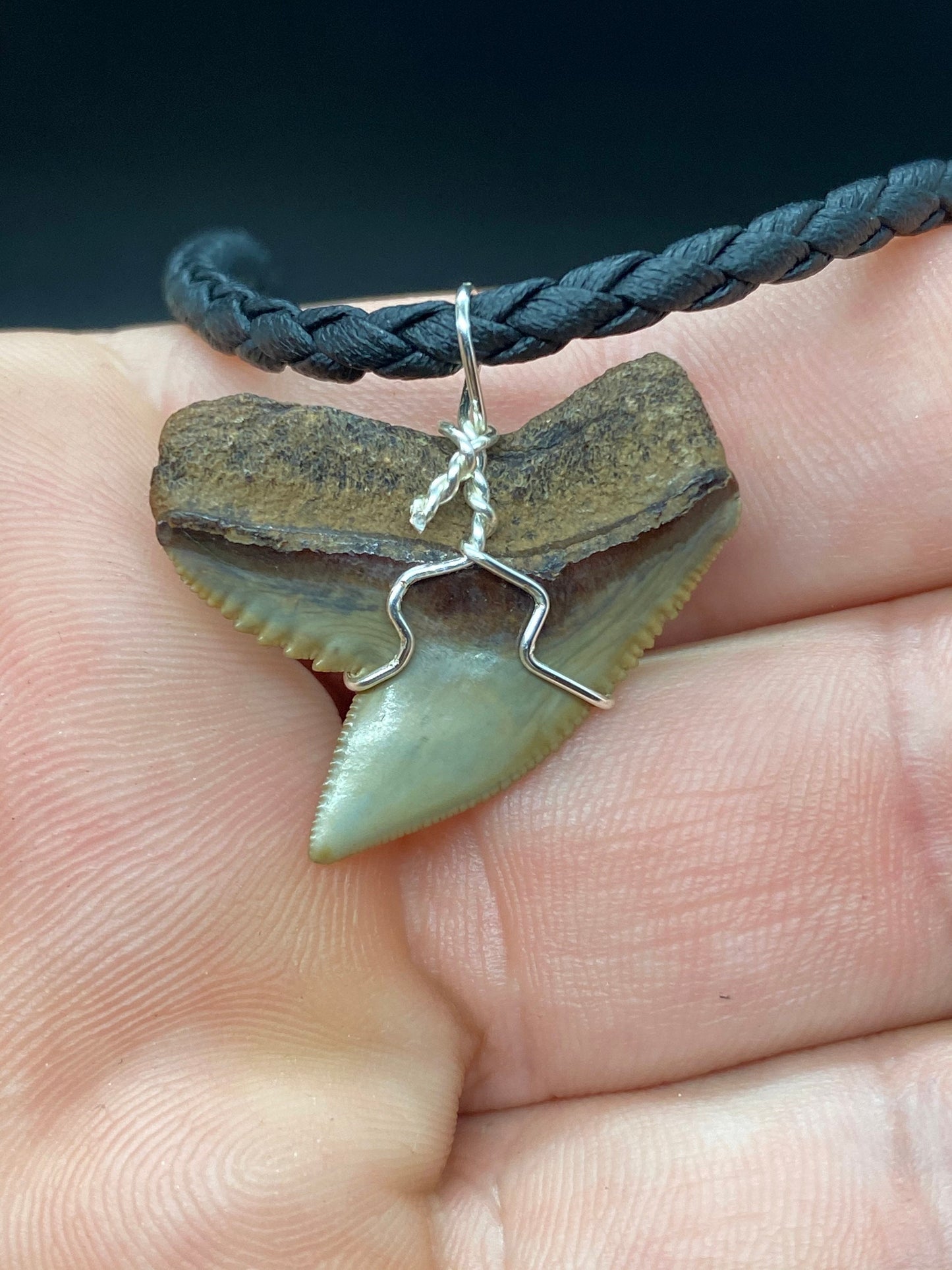 Tiger Shark Necklace, Shark Tooth Necklace, Fossil Shark Tooth Necklace