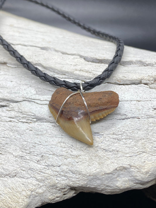 Tiger Shark Necklace, Shark Tooth Necklace, Fossil Shark Tooth Necklace