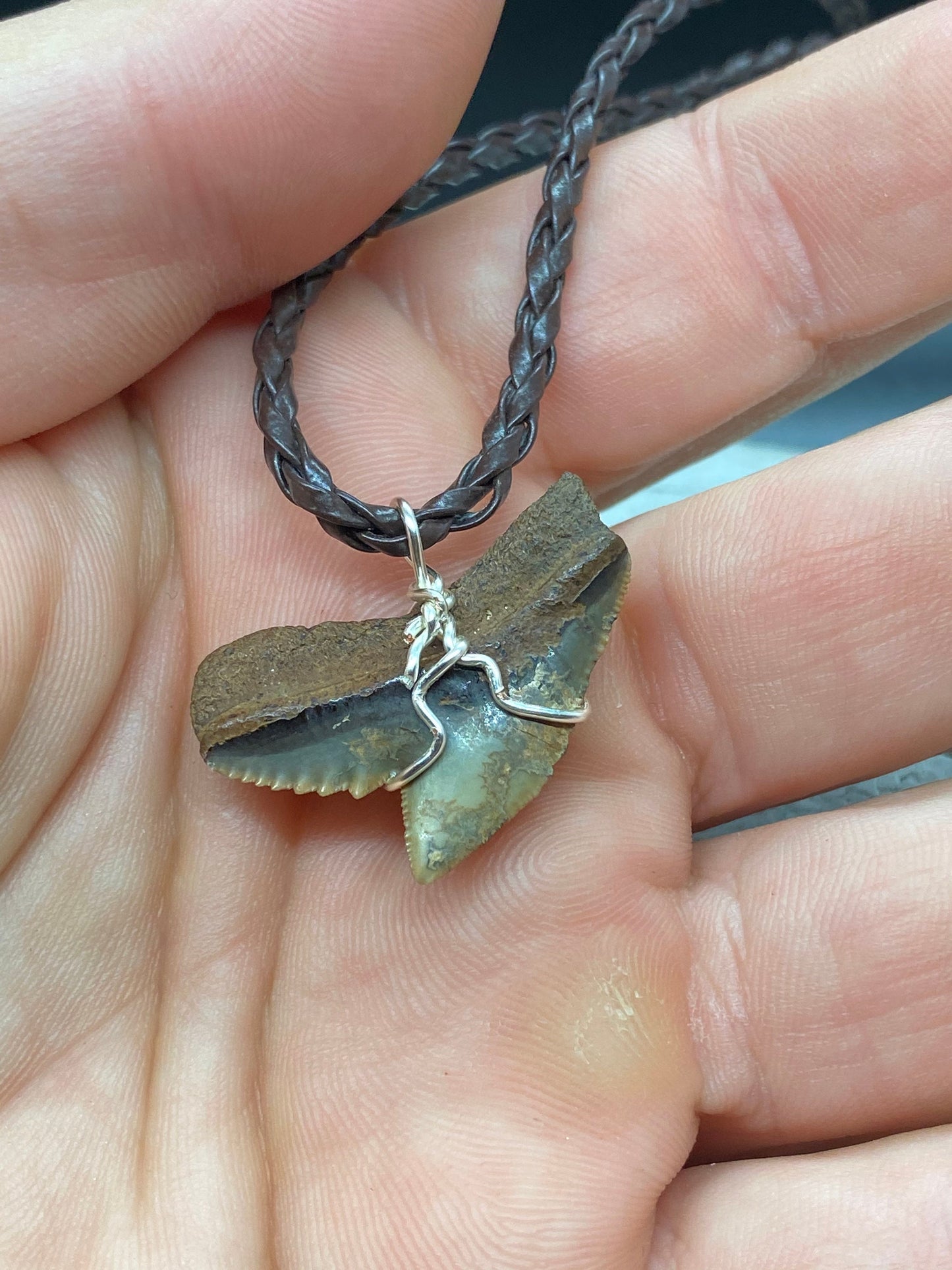 Tiger Shark Necklace, Shark Tooth Necklace, Fossil Shark Tooth Necklace