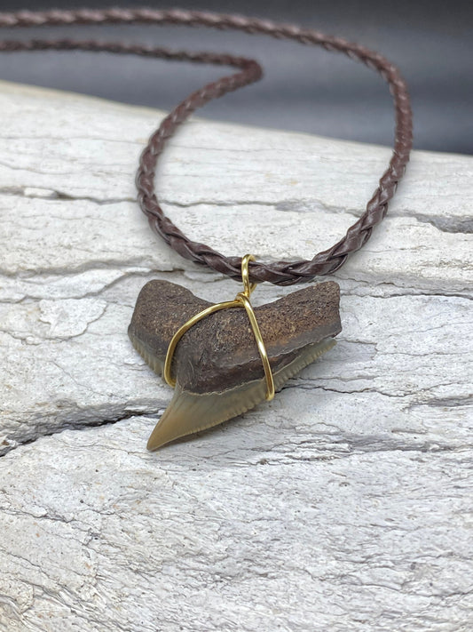 Tiger Shark Necklace, Shark Tooth Necklace, Fossil Shark Tooth Necklace