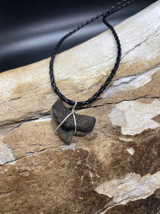 Tiger Shark Necklace, Shark Tooth Necklace, Fossil Shark Tooth Necklace