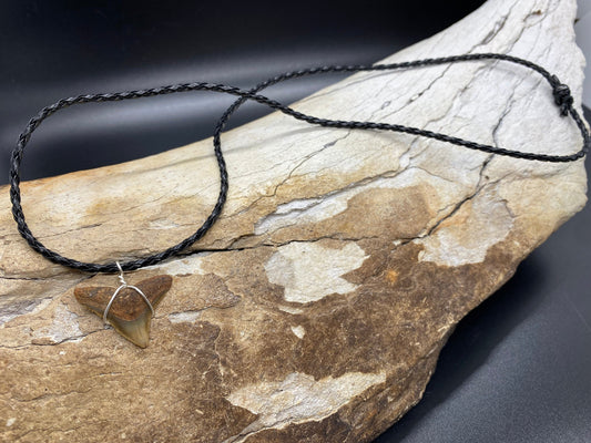 Bull Shark Necklace, Shark Tooth Necklace, Fossil Shark Tooth Necklace