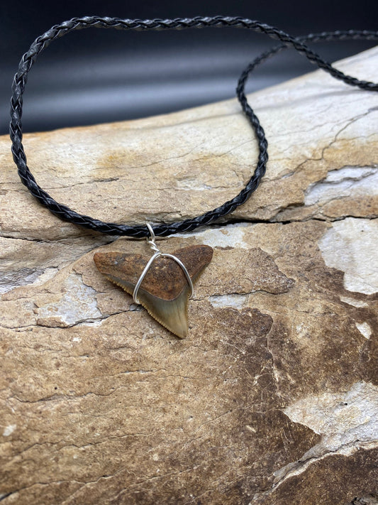 Bull Shark Necklace, Shark Tooth Necklace, Fossil Shark Tooth Necklace