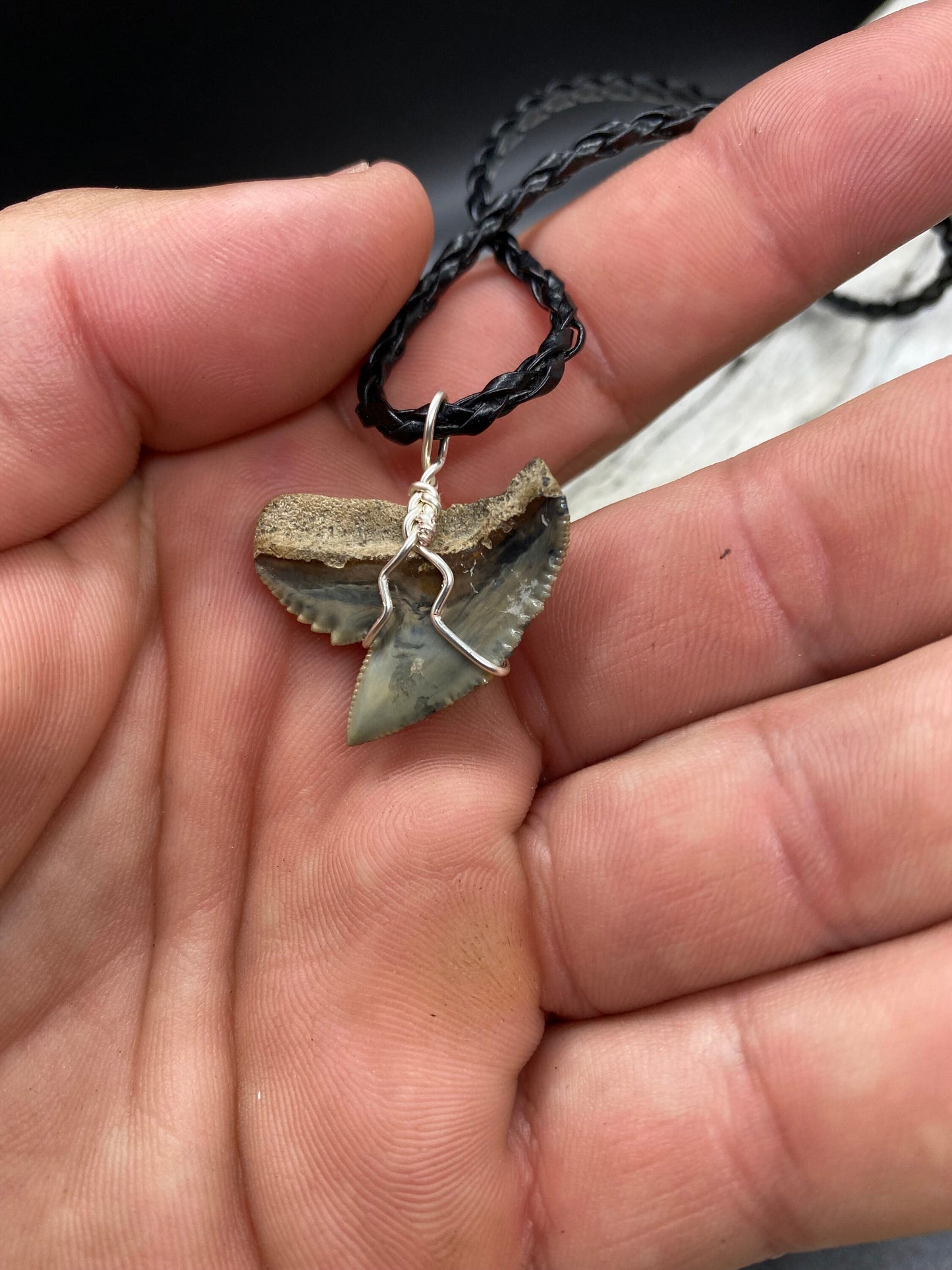 Tiger Shark Necklace, Shark Tooth Necklace, Fossil Shark Tooth Necklace