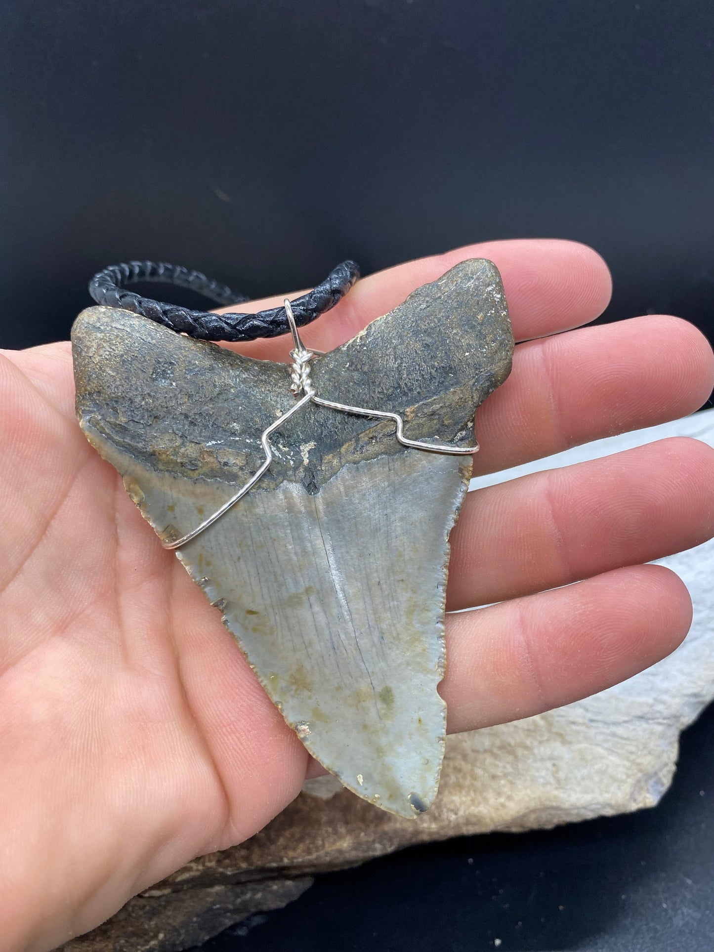 Megalodon Necklace, Megalodon shark tooth Necklace, Fossil Shark Tooth Necklace