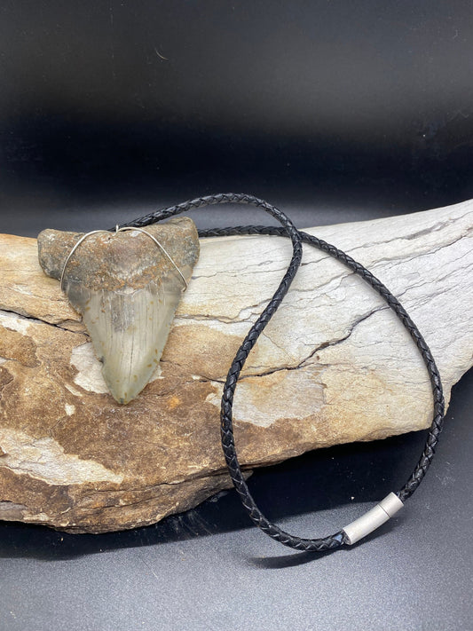 Megalodon Necklace, Megalodon shark tooth Necklace, Fossil Shark Tooth Necklace