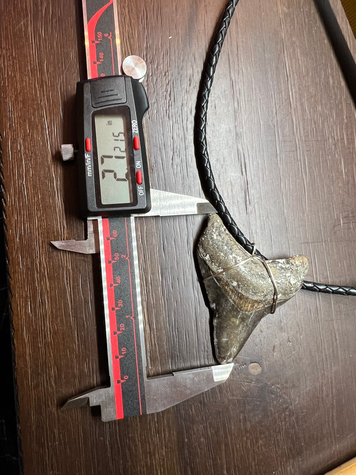 Fossilized Megalodon Shark Tooth Necklace 2.7 inches