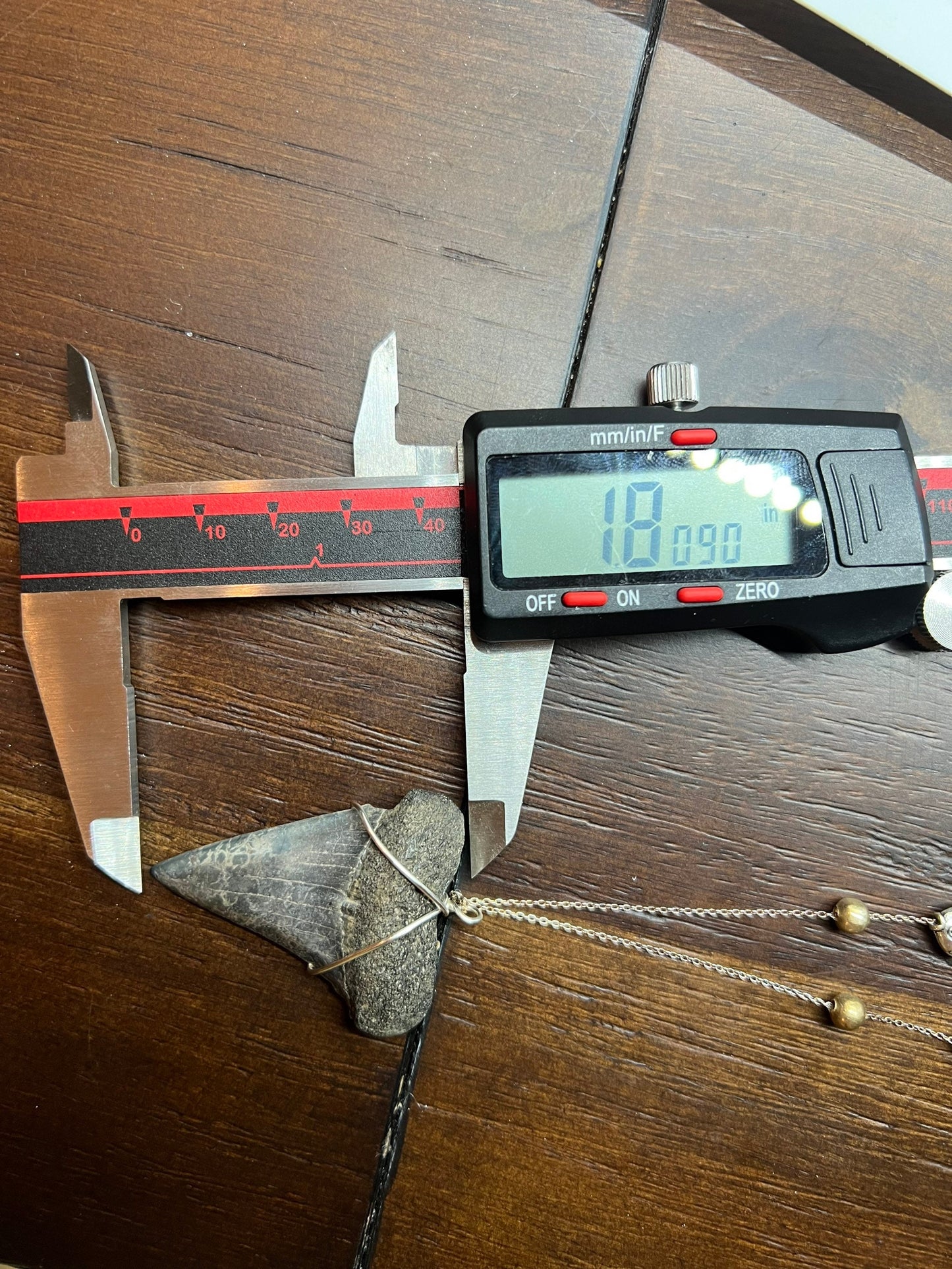 Mako shark tooth necklace silver , Fossil shark tooth Necklace, Shark tooth Necklace