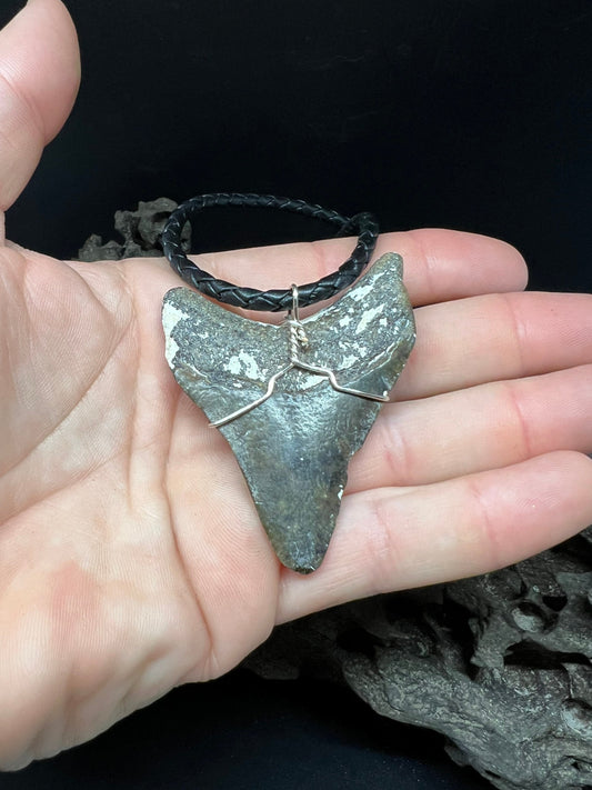 Fossilized Megalodon Shark Tooth Necklace 2.7 inches