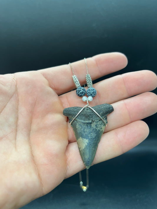 Mako shark tooth necklace, Fossil shark tooth Necklace, Shark tooth Necklace