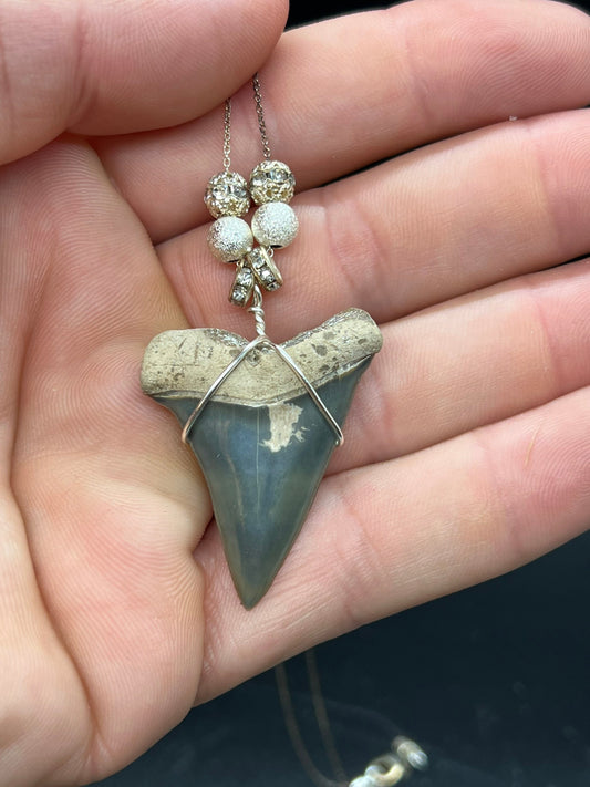 Mako shark tooth necklace, Fossil shark tooth Necklace, Shark tooth Necklace