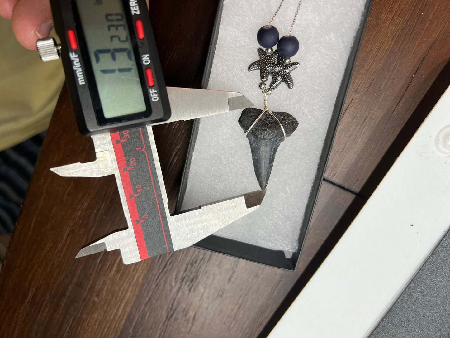 Mako shark tooth necklace silver , Fossil shark tooth Necklace, Shark tooth Necklace