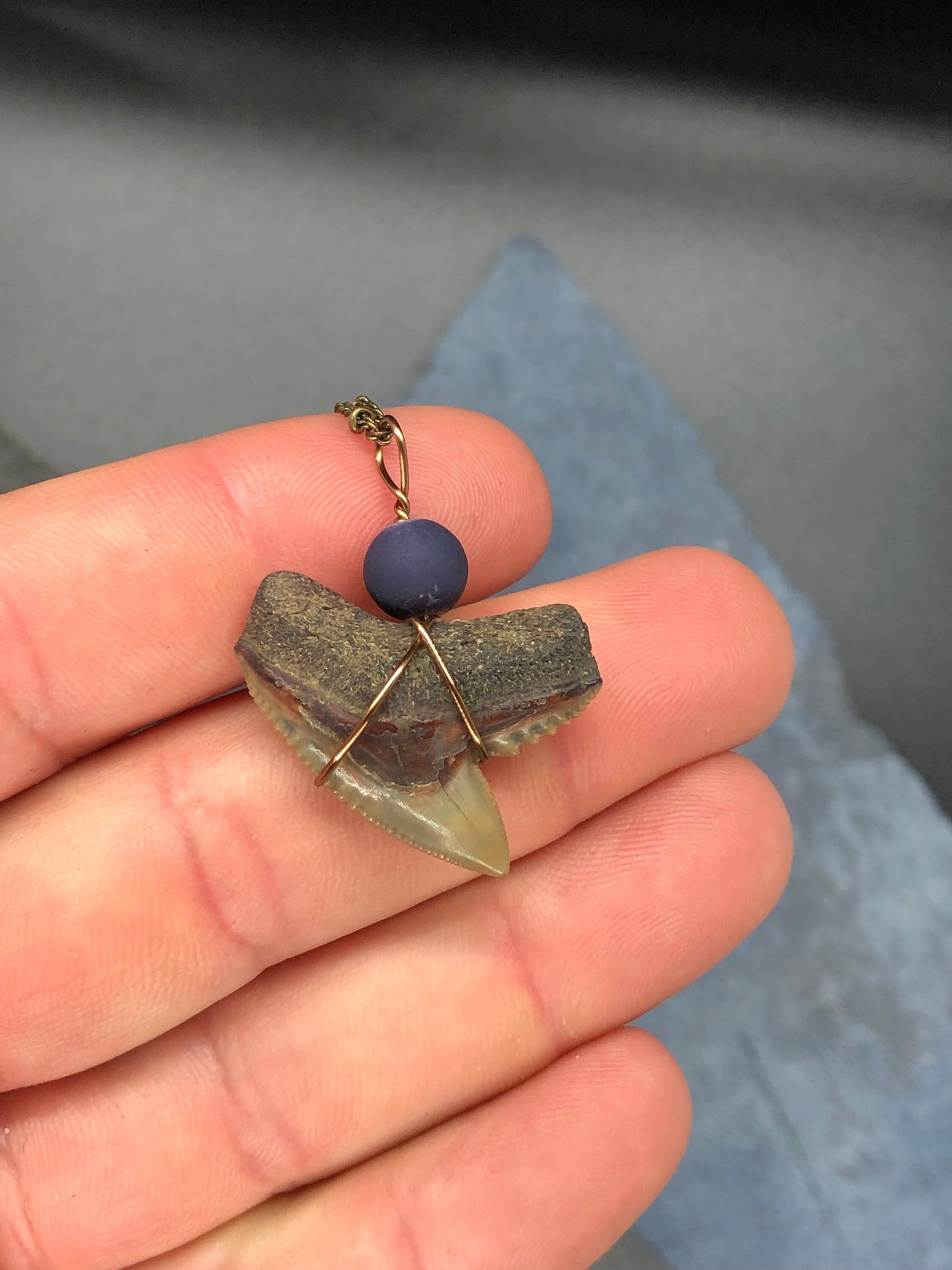 Tiger Shark Necklace, Shark Tooth Necklace, Fossil Shark Tooth Necklace