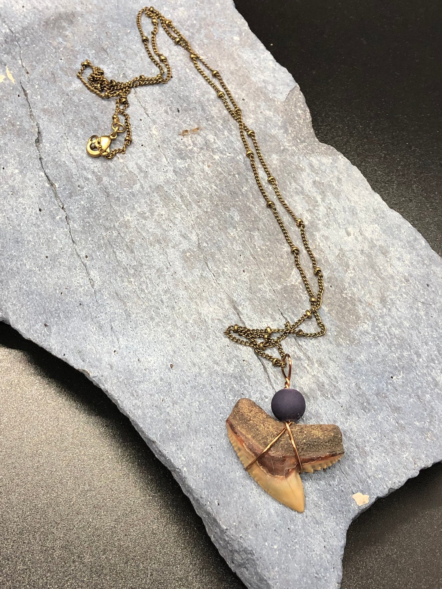 Tiger Shark Necklace, Shark Tooth Necklace, Fossil Shark Tooth Necklace