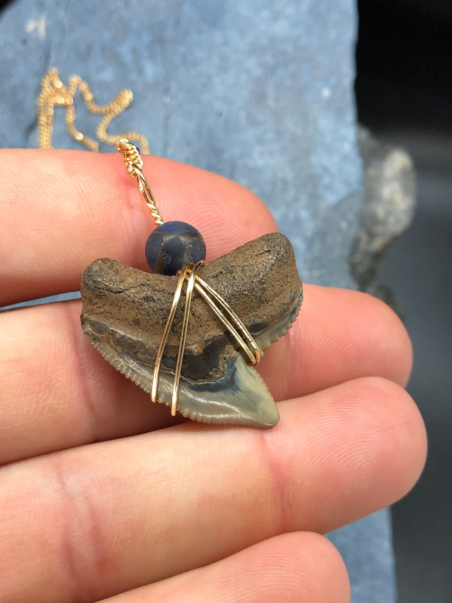 Tiger Shark Necklace, Shark Tooth Necklace, Fossil Shark Tooth Necklace