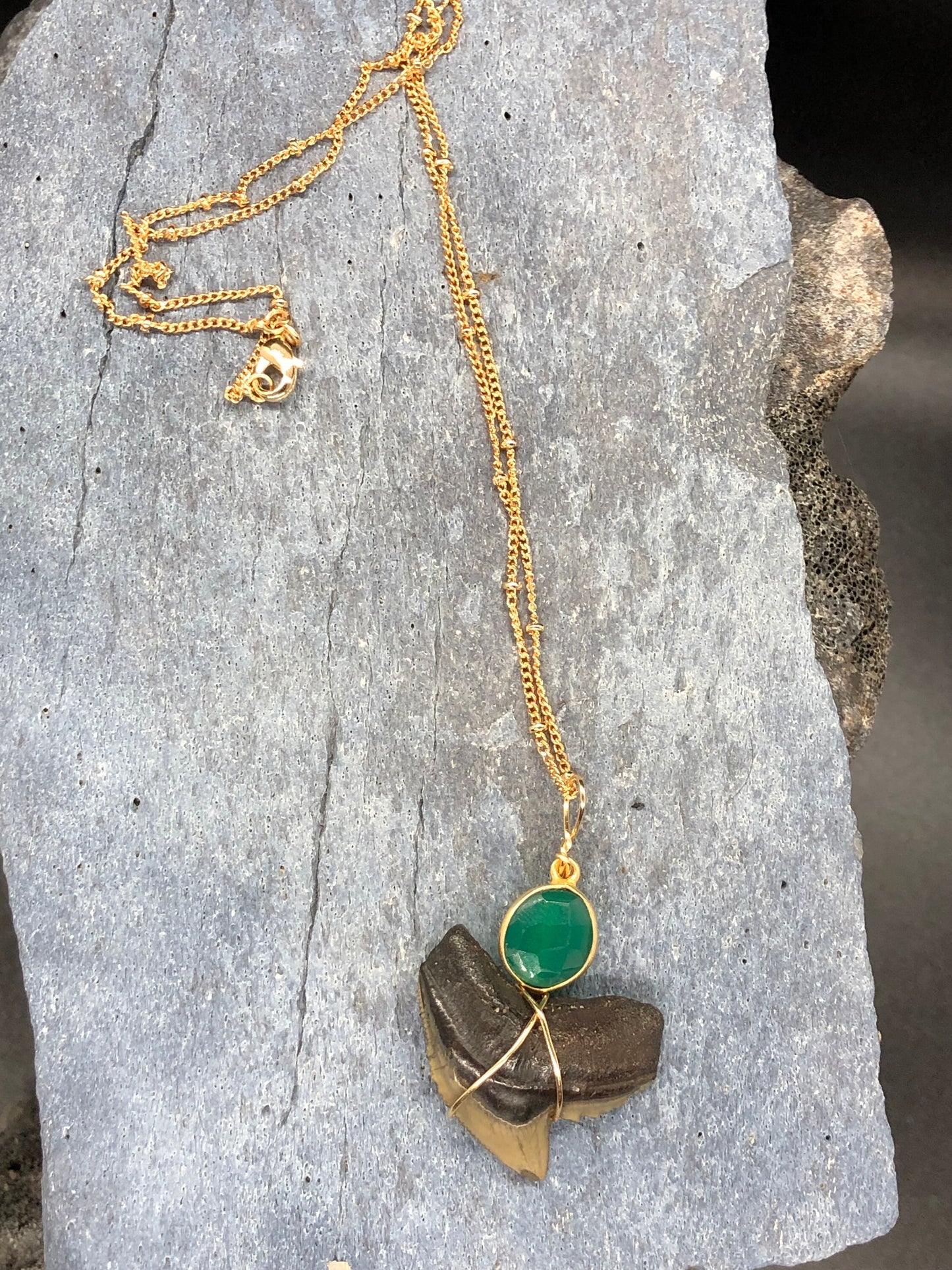 Tiger Shark Necklace, Shark Tooth Necklace, Fossil Shark Tooth Necklace