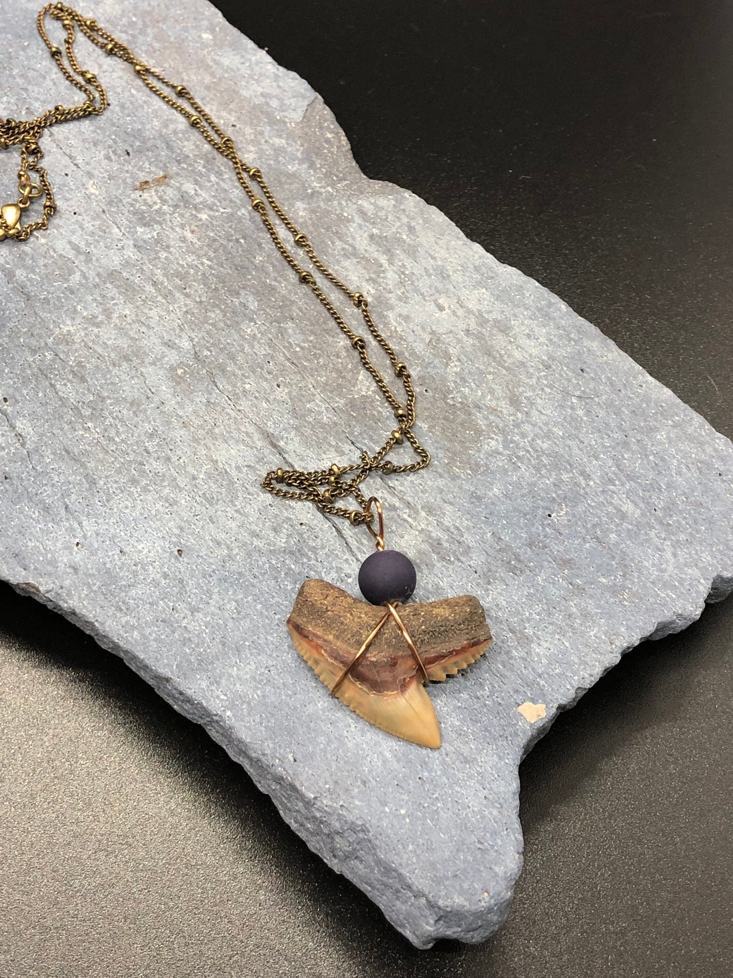 Tiger Shark Necklace, Shark Tooth Necklace, Fossil Shark Tooth Necklace