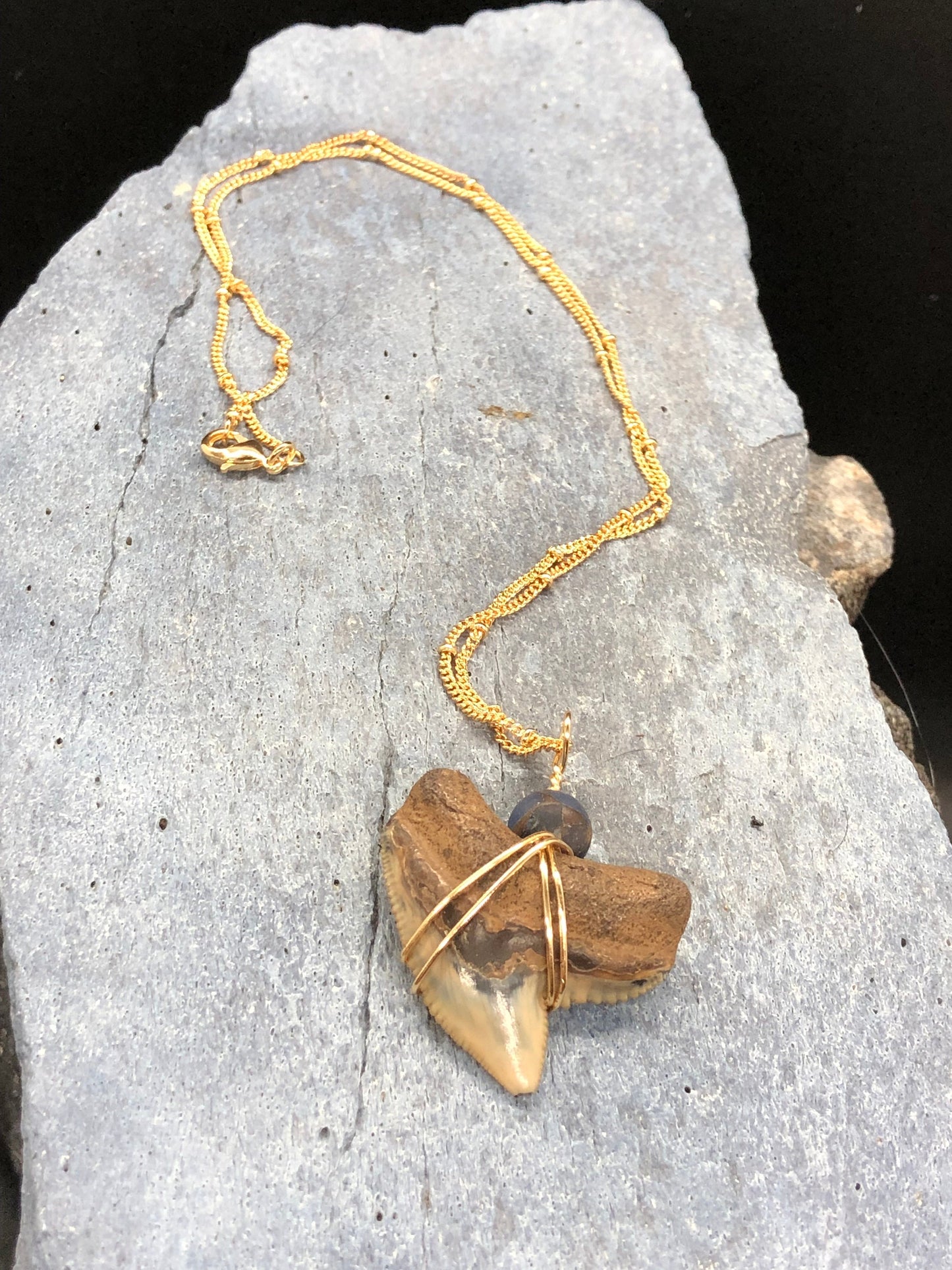 Tiger Shark Necklace, Shark Tooth Necklace, Fossil Shark Tooth Necklace
