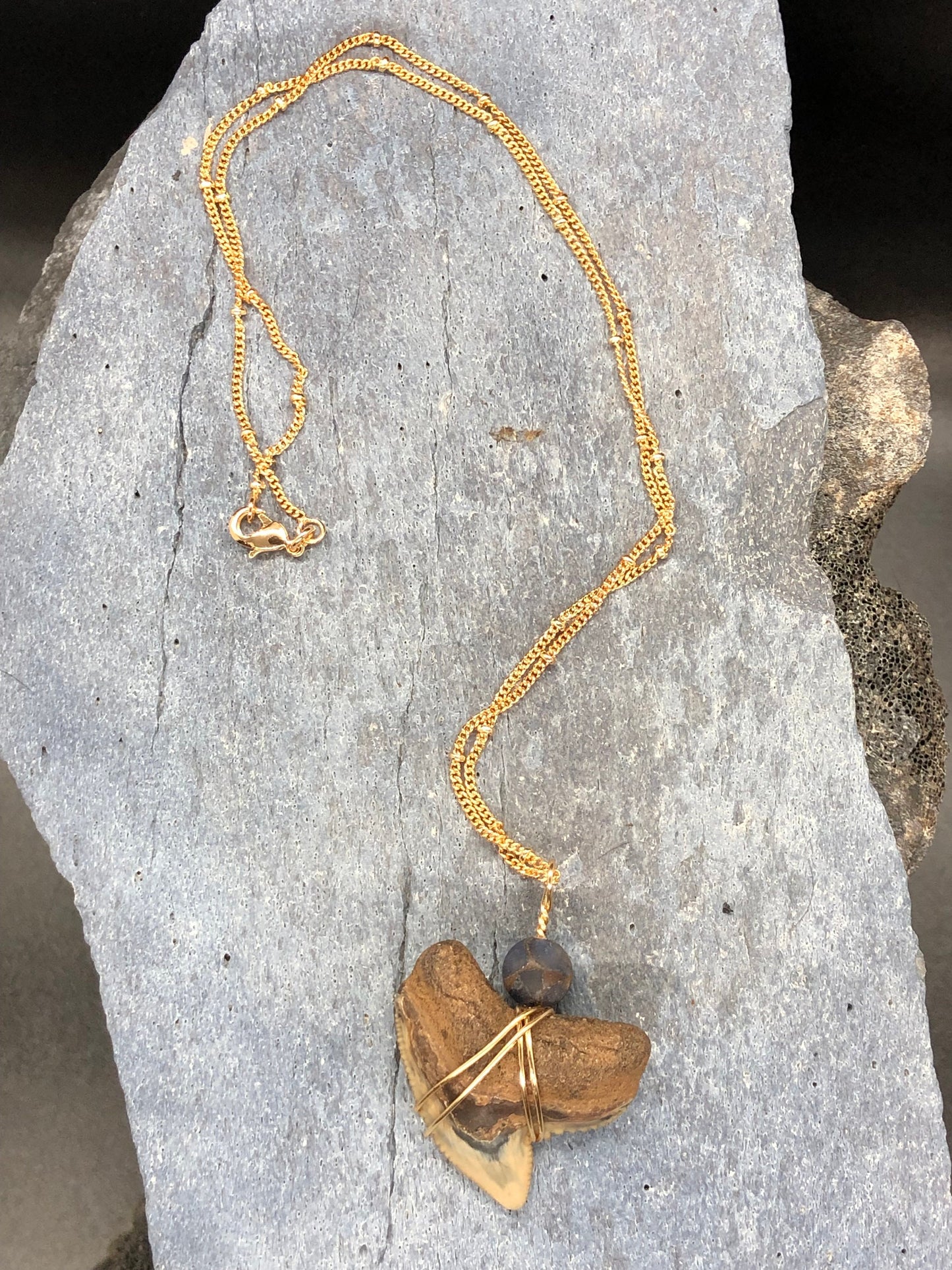 Tiger Shark Necklace, Shark Tooth Necklace, Fossil Shark Tooth Necklace