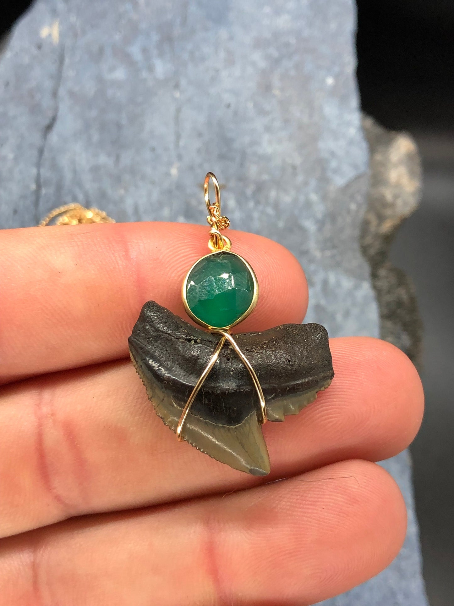 Tiger Shark Necklace, Shark Tooth Necklace, Fossil Shark Tooth Necklace