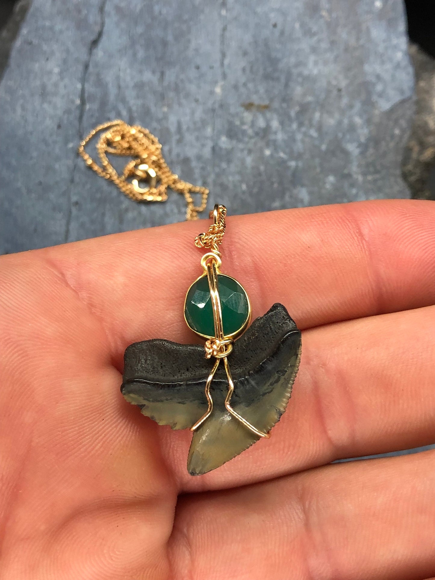 Tiger Shark Necklace, Shark Tooth Necklace, Fossil Shark Tooth Necklace