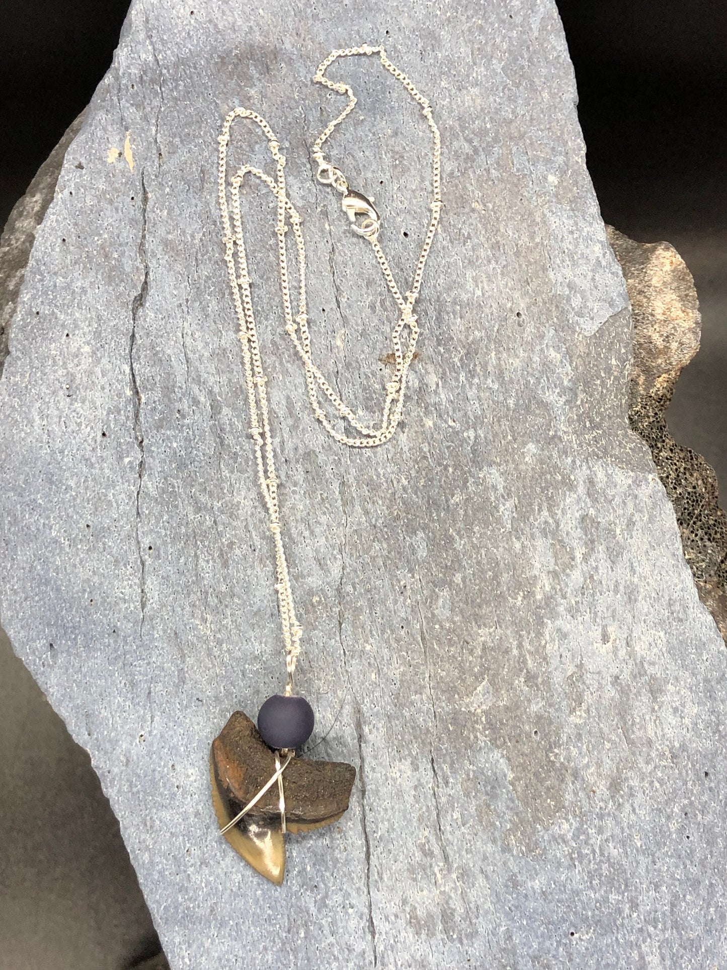 Tiger Shark Necklace, Shark Tooth Necklace, Fossil Shark Tooth Necklace