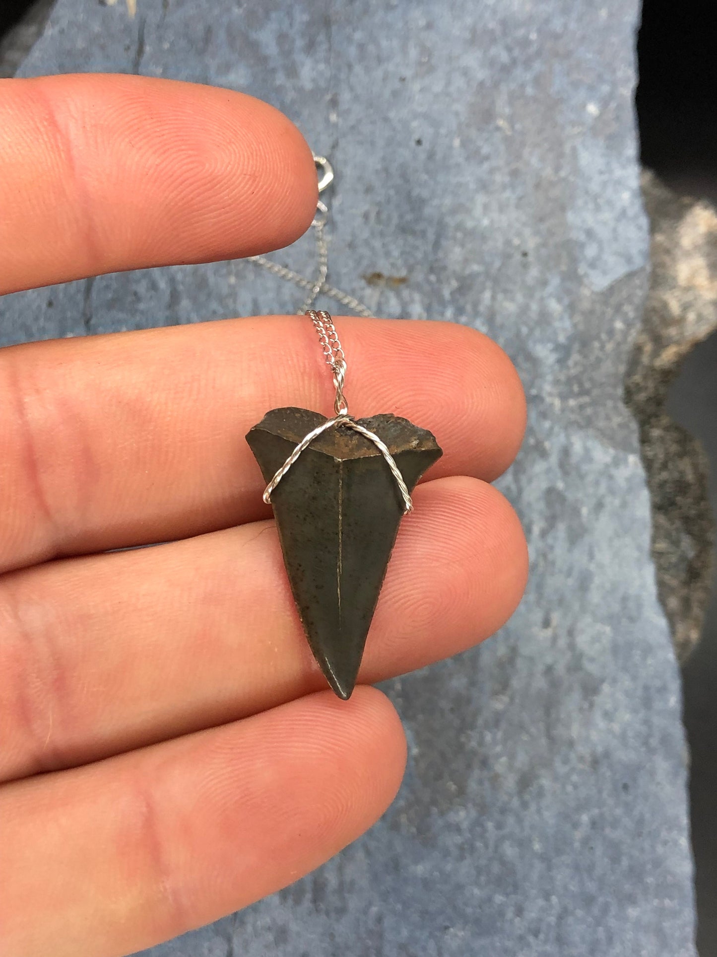 Mako shark tooth necklace, Fossil shark tooth Necklace, Shark tooth Necklace