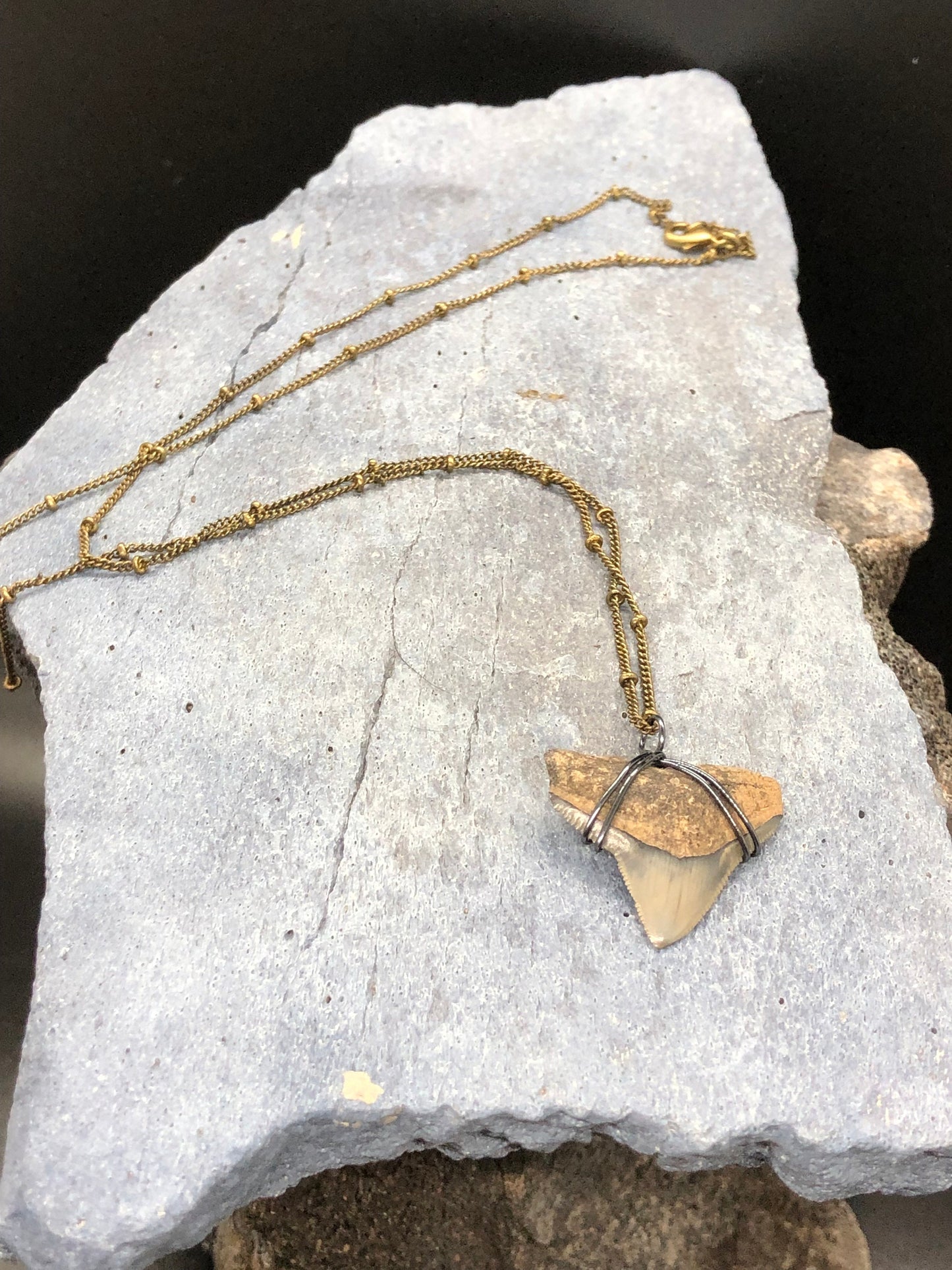 Bull Shark Necklace, Shark Tooth Necklace, Fossil Shark Tooth Necklace