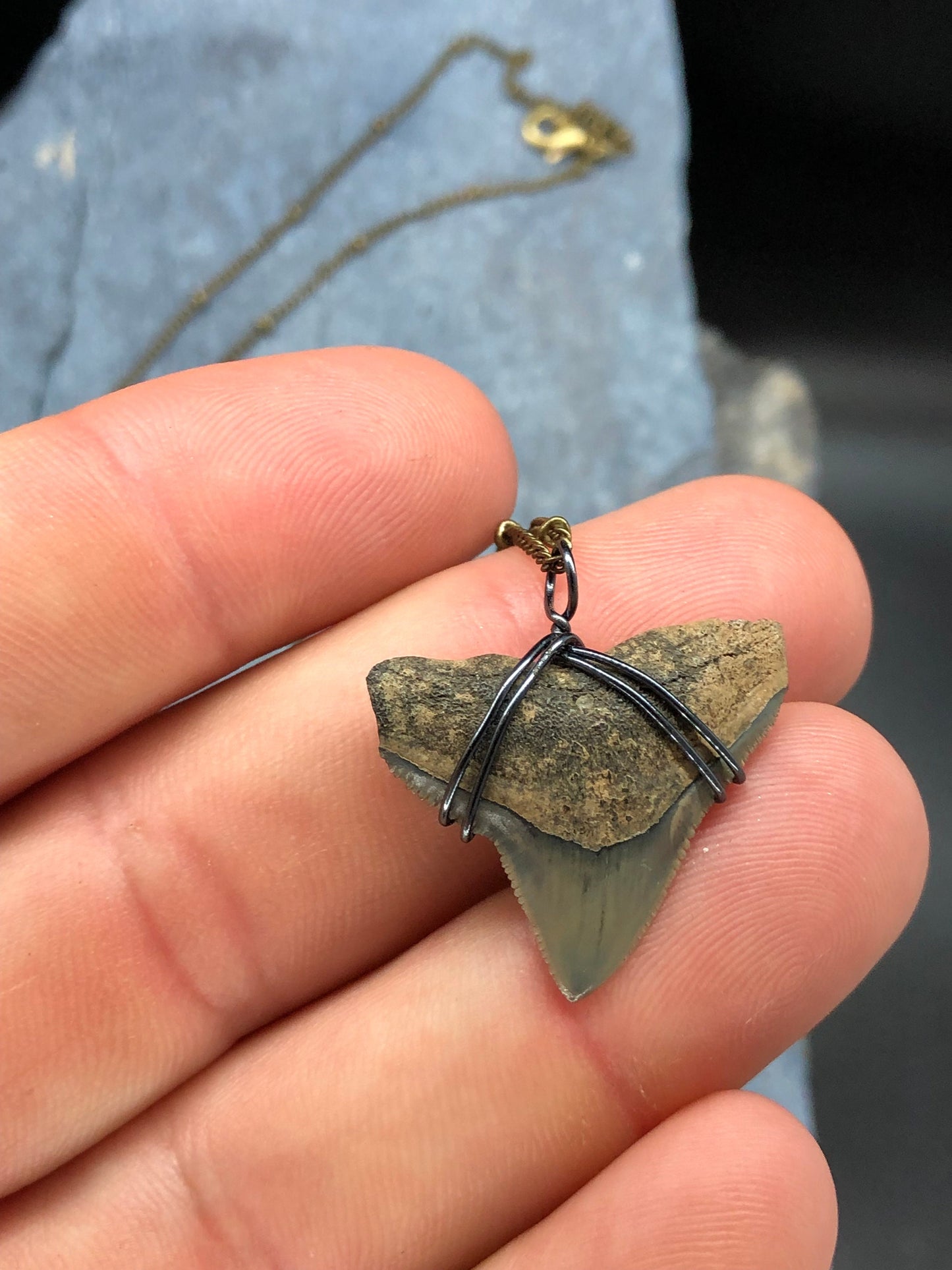 Bull Shark Necklace, Shark Tooth Necklace, Fossil Shark Tooth Necklace